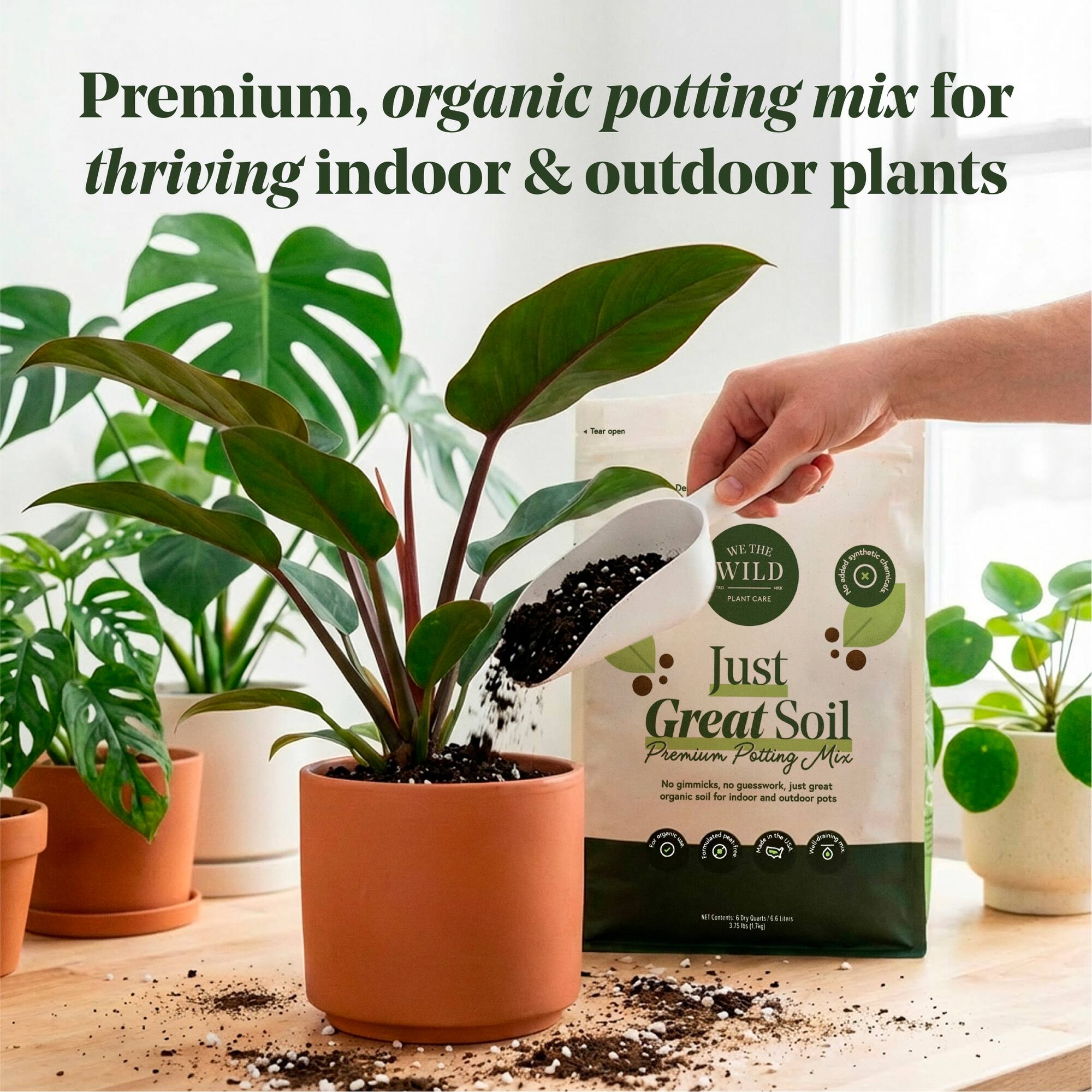 We The Wild™ 6qt. Just Great Soil Premium Organic Gnat-Resistant Potting Mix for Houseplants